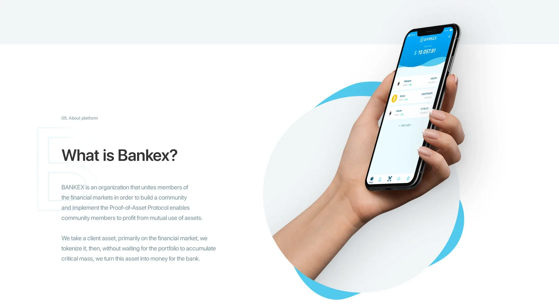 What is Bankex: the wallet in hand