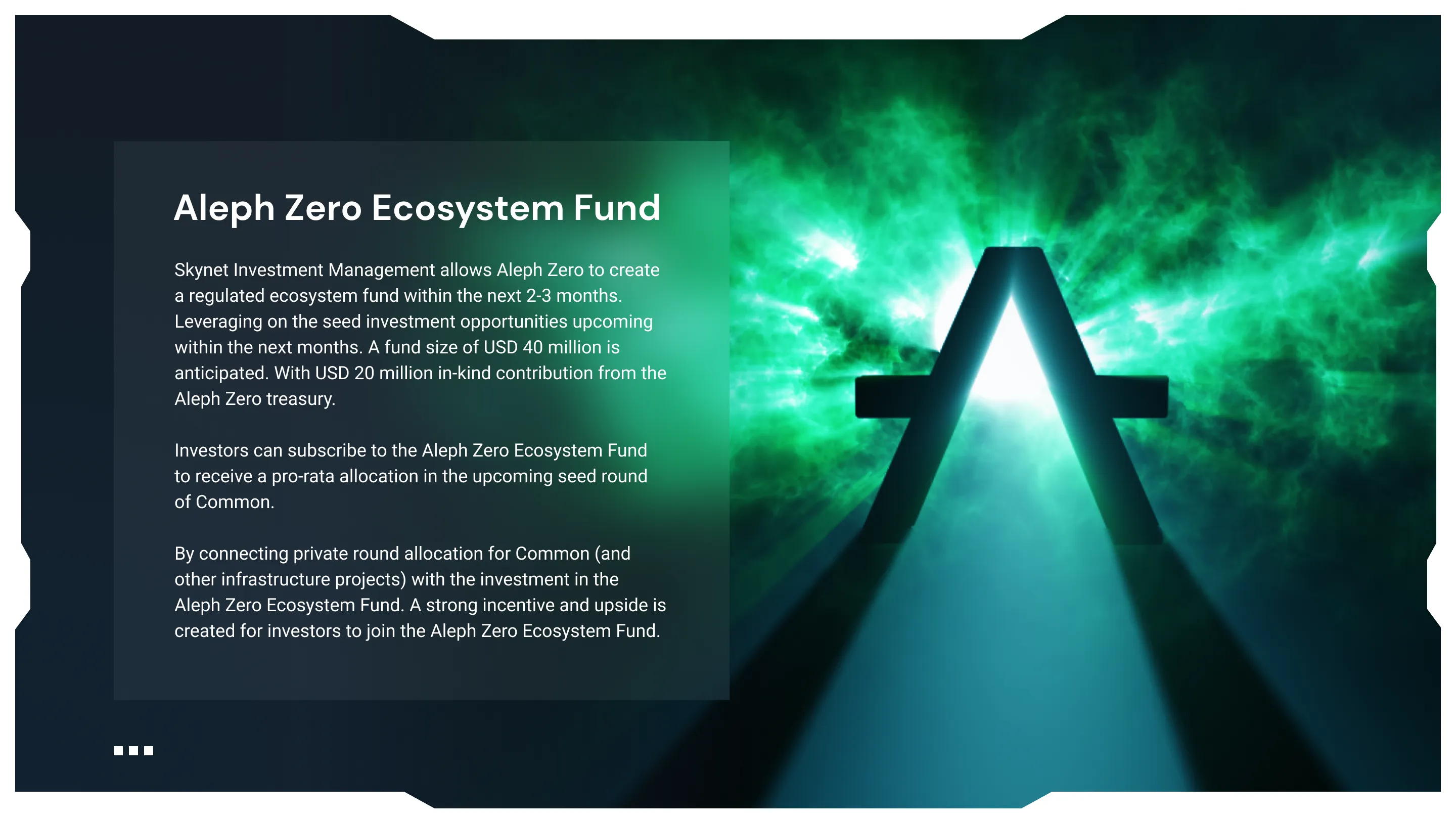 Skynet Fund Deck, slide 8