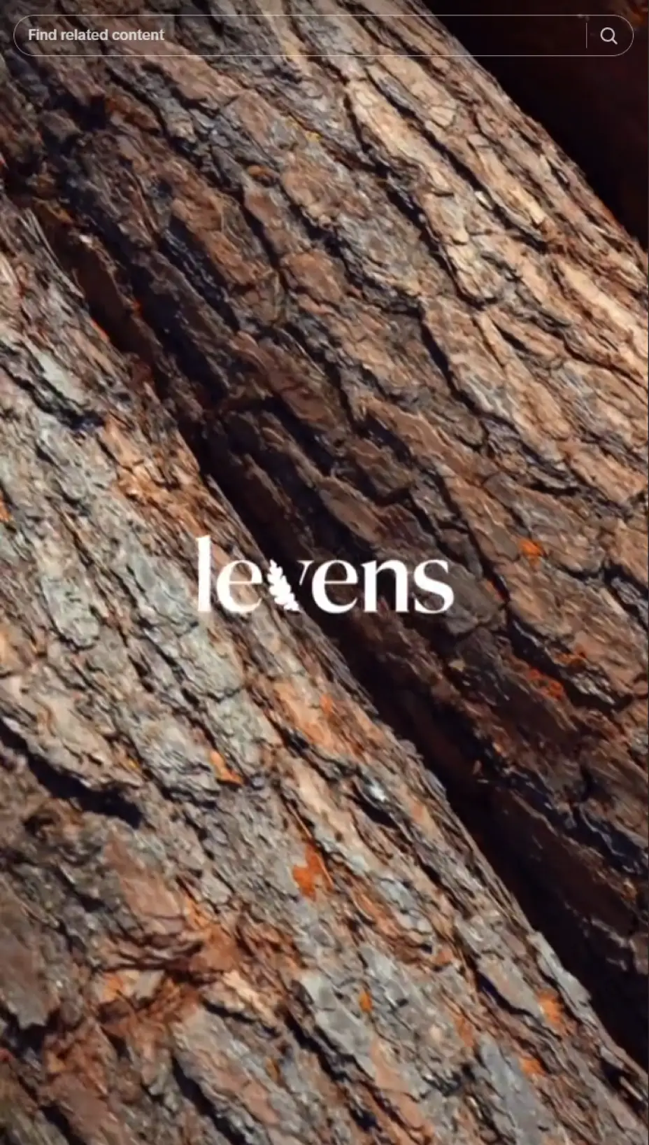 Levens